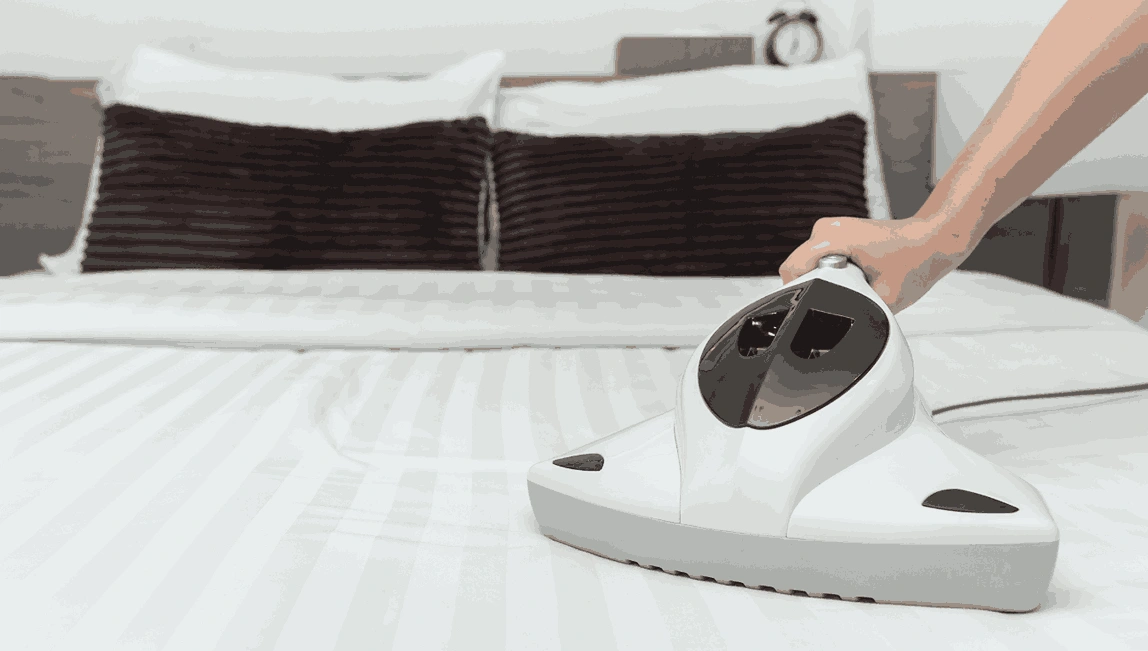 Professional Mattress Cleaning Miners Rest